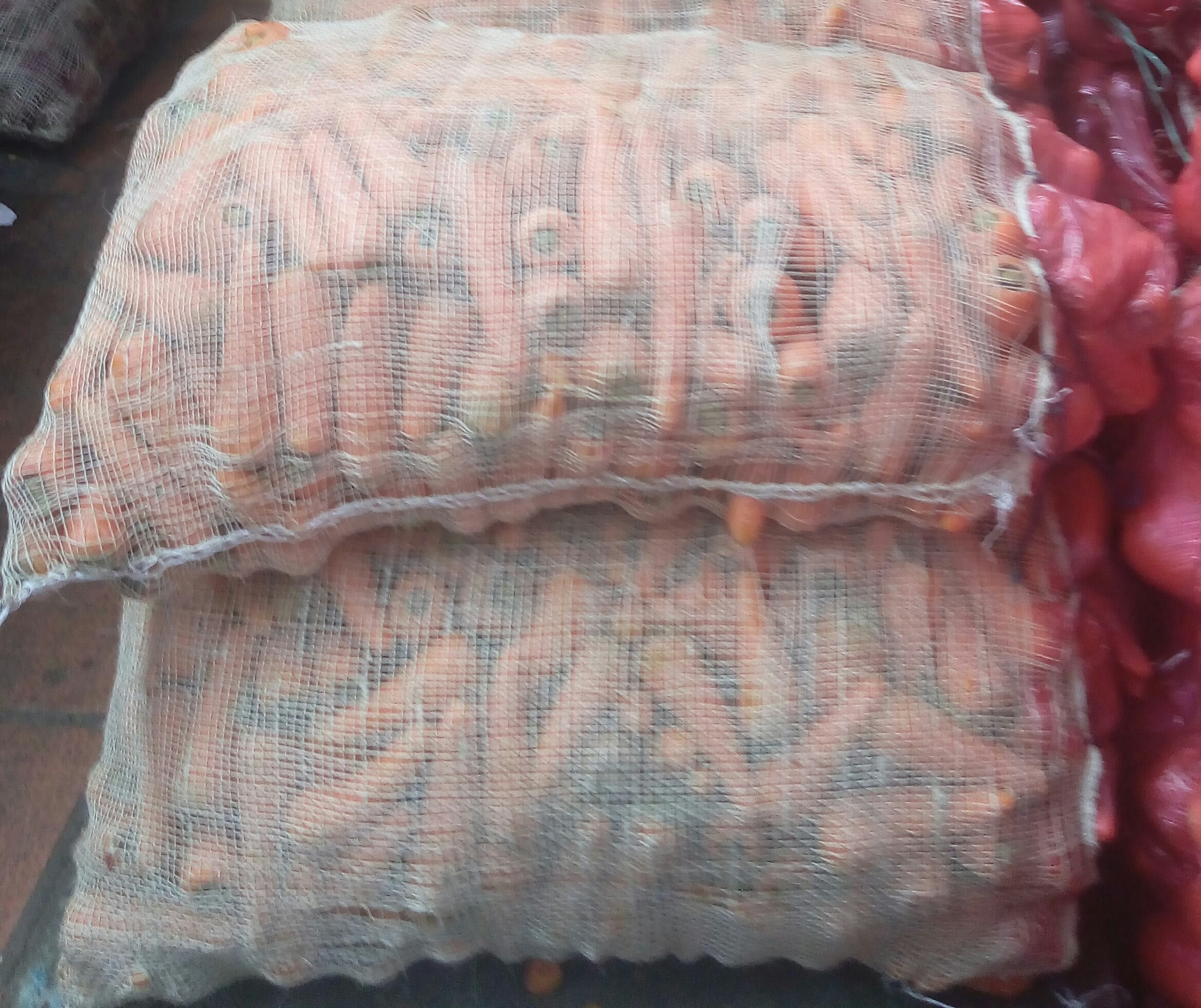 Zanahoria fina