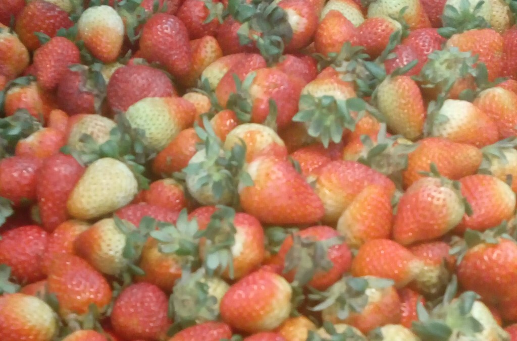Fresas de tercera
