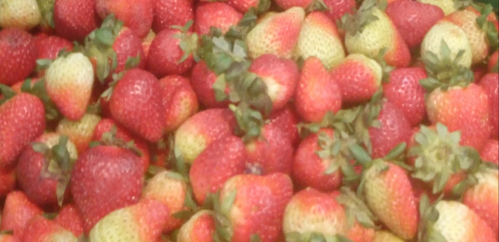 Fresas de cuarta