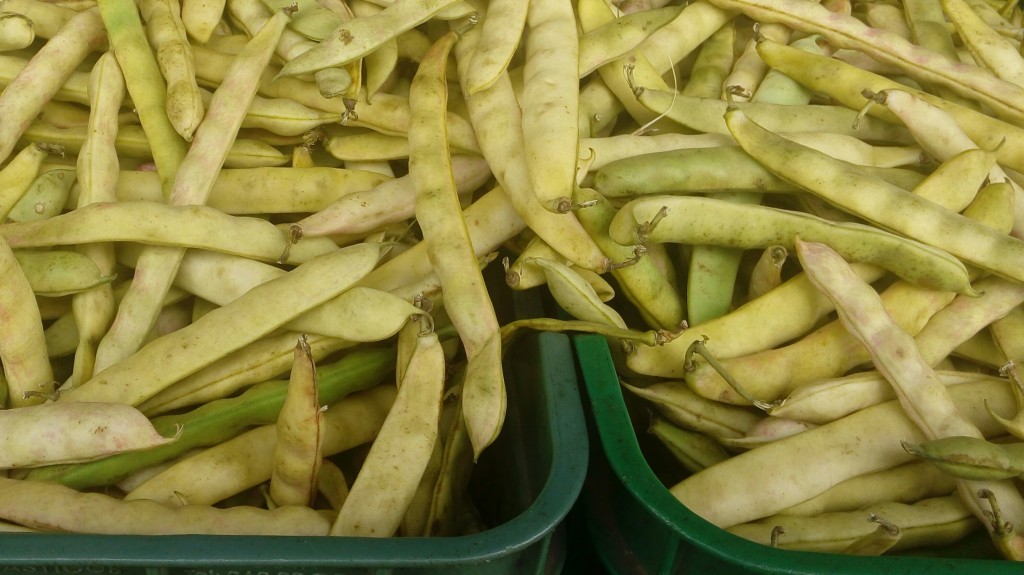 Frijol en cascara