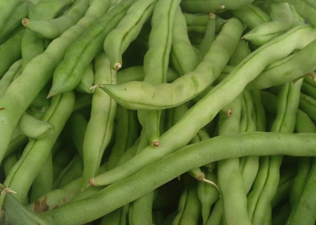 Habichuelas