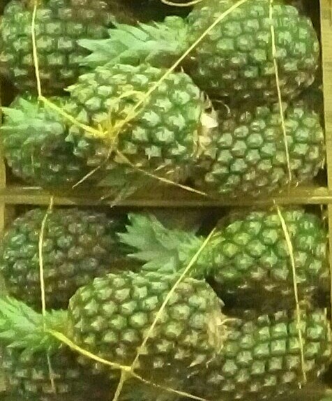 Piña oro miel