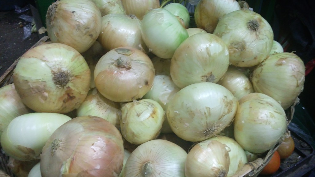 Cebolla cabezona