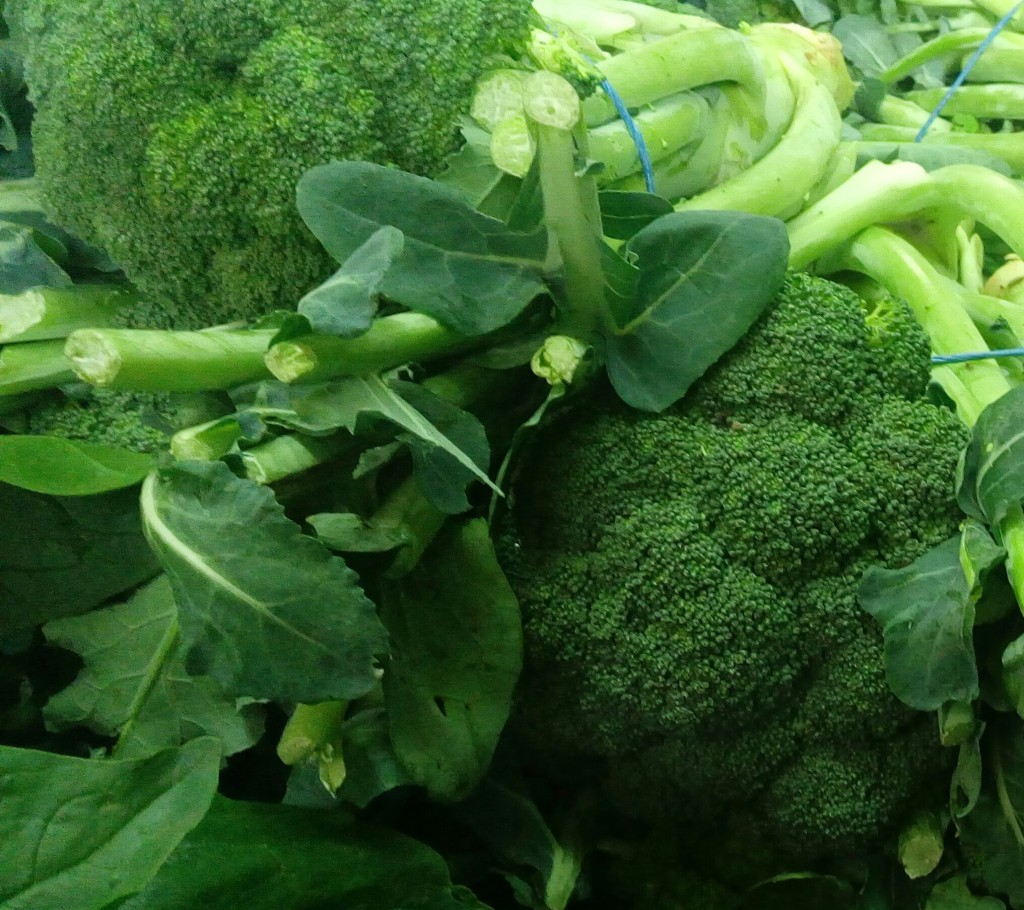 Brocoli