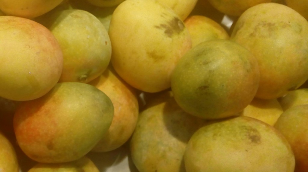Mango de azucar