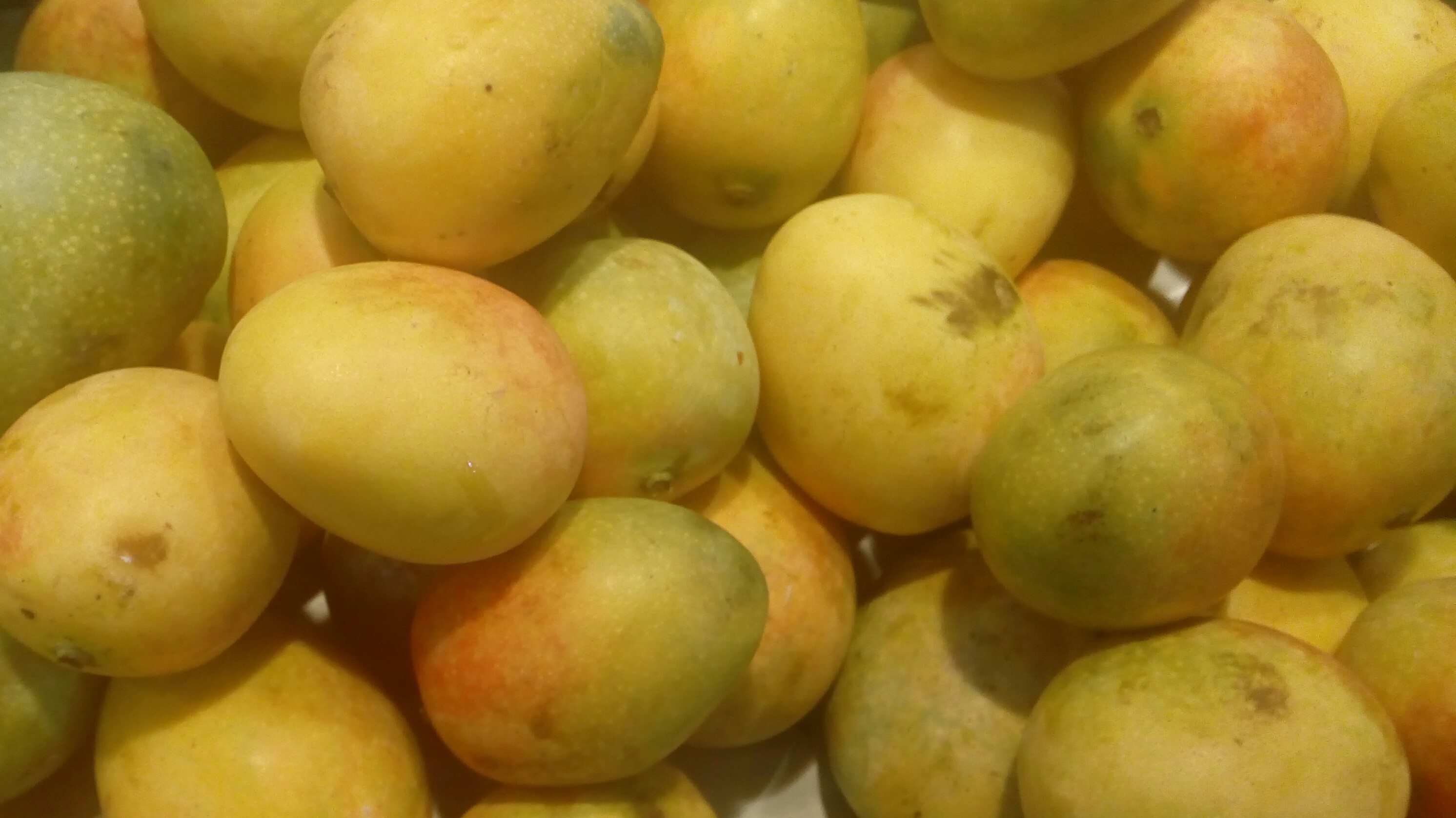 Mango de azucar