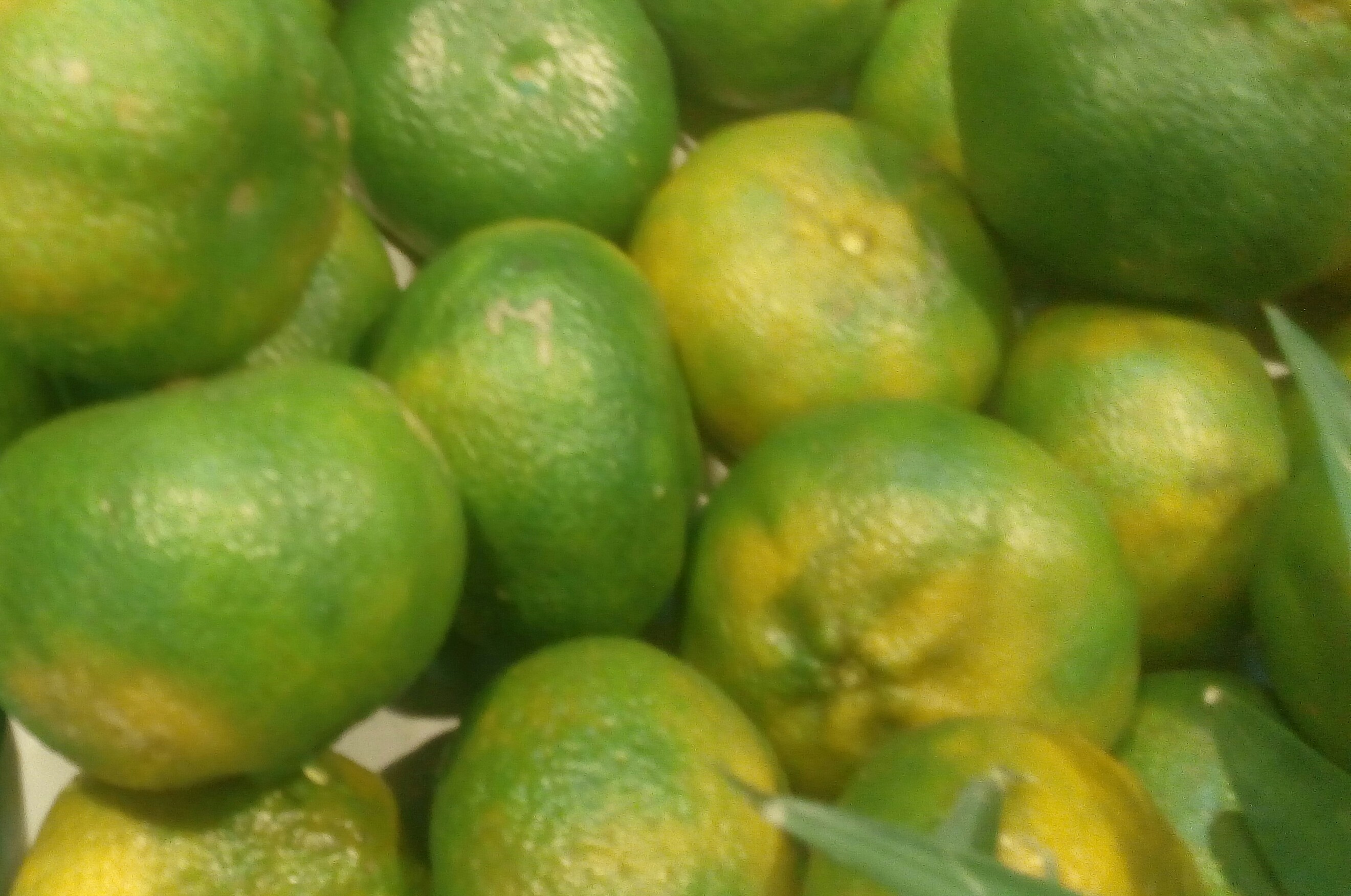 Mandarinas