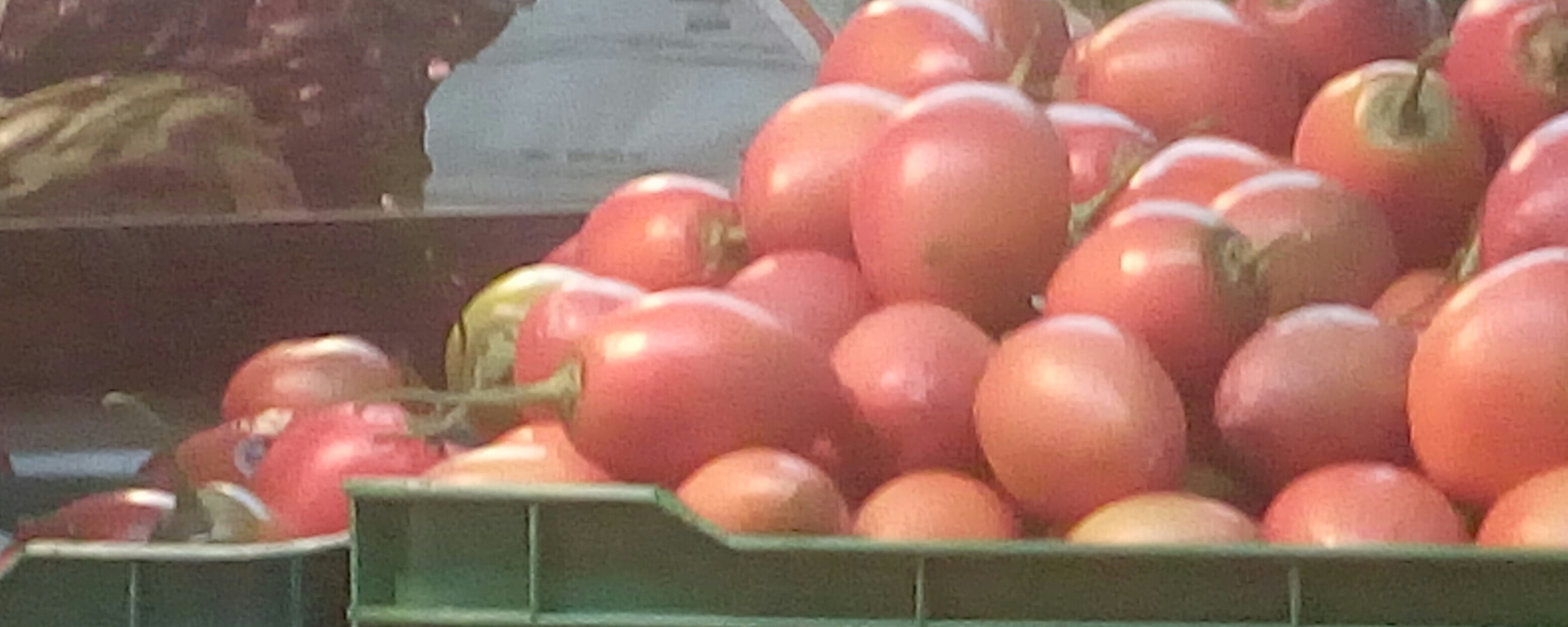 Tomate de arbol