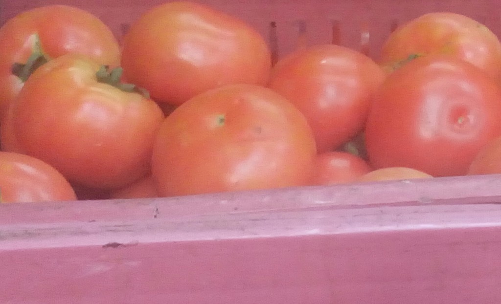 Tomate larga vida de cuarta