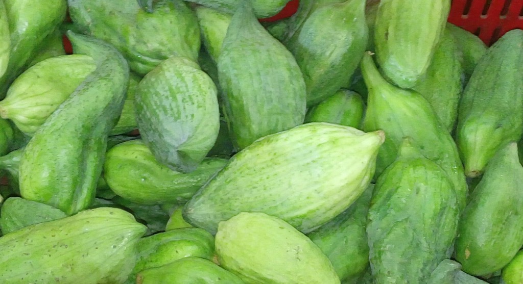 Pepino para guiso