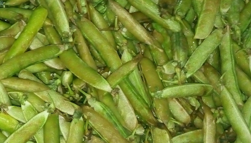 Arveja en cascara