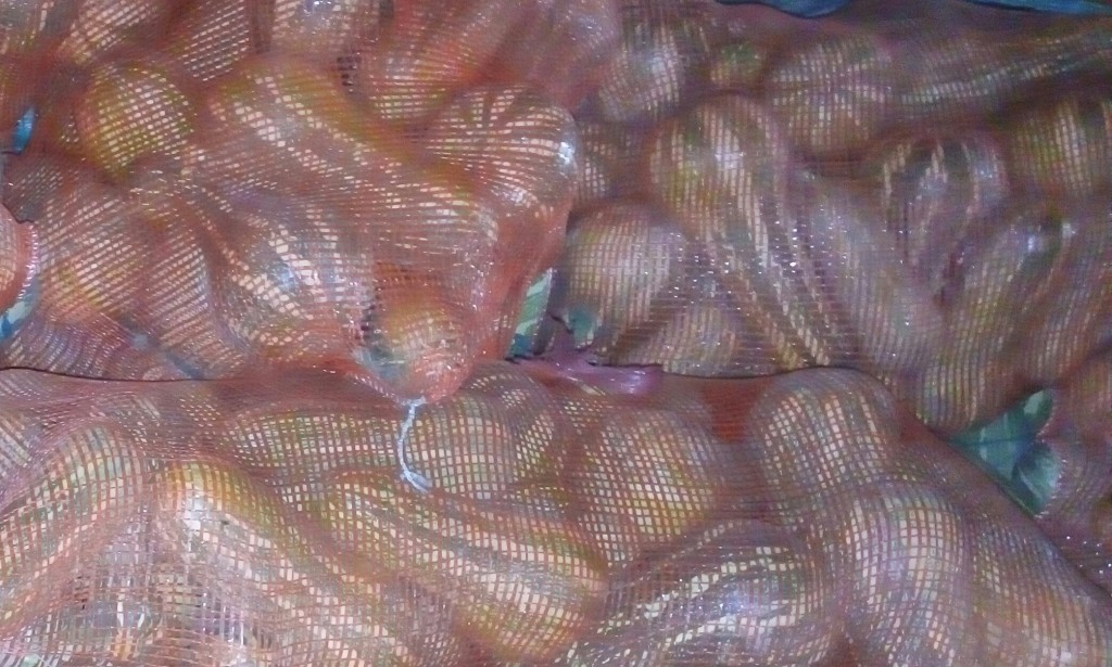 Ahuyama Sapayo