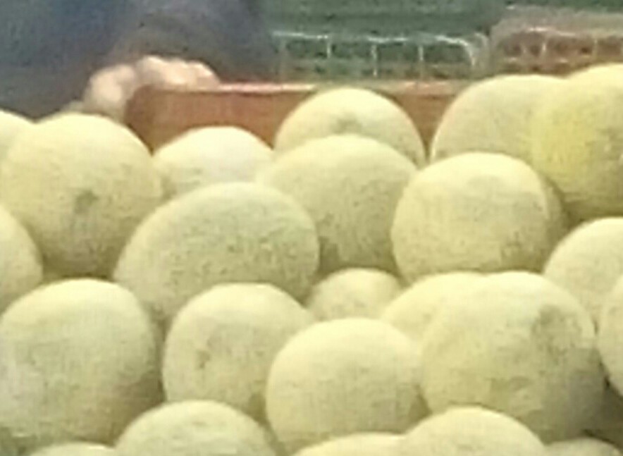 Melon
