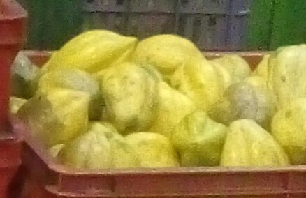 Papayuela