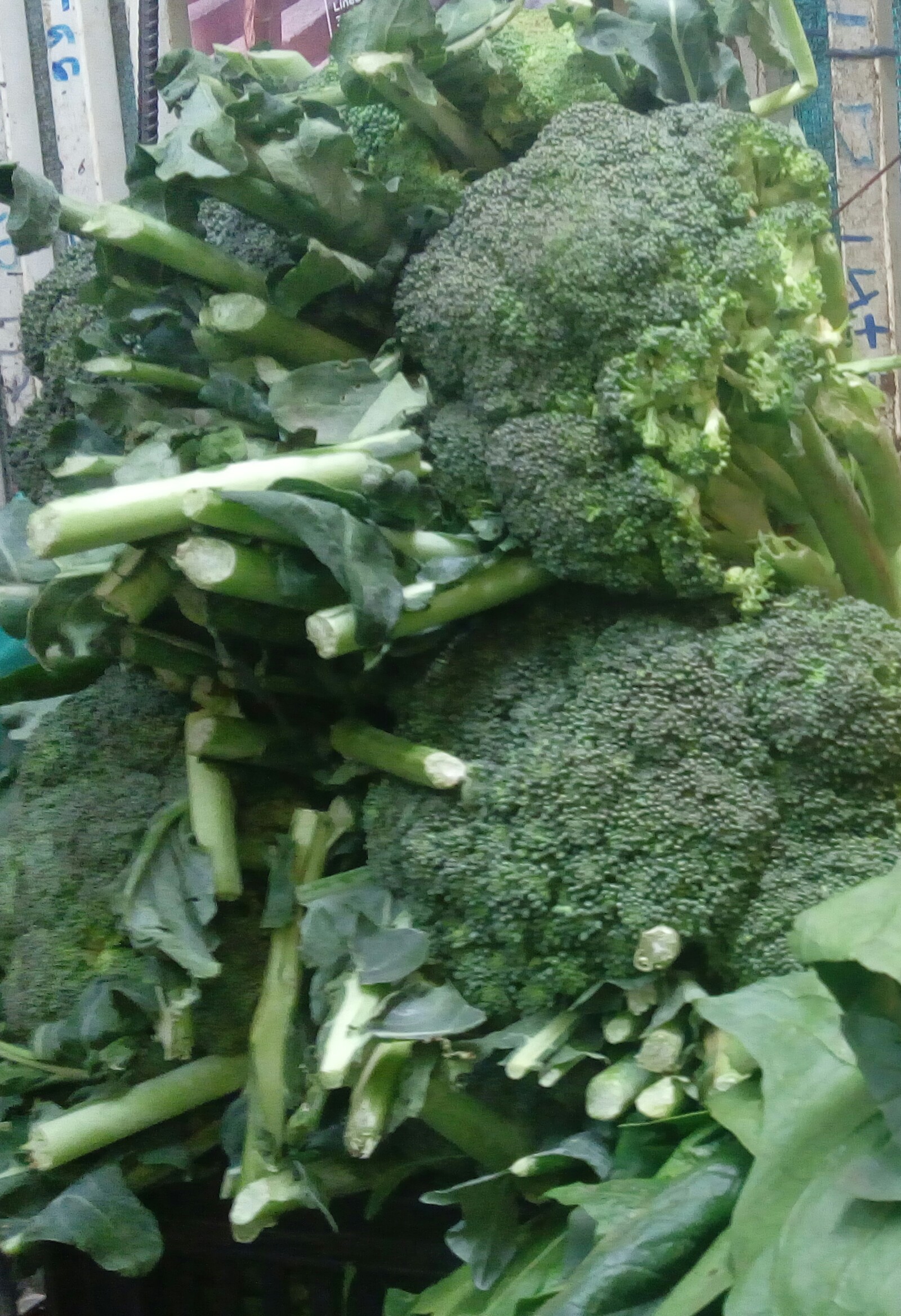 Brocoli