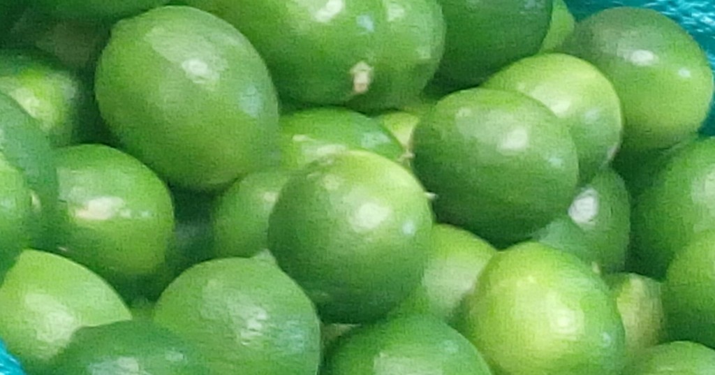 Limon tahiti