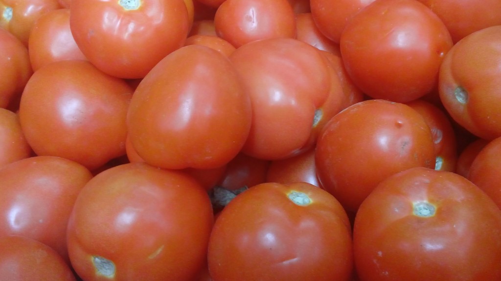 Tomate chonto de segunda