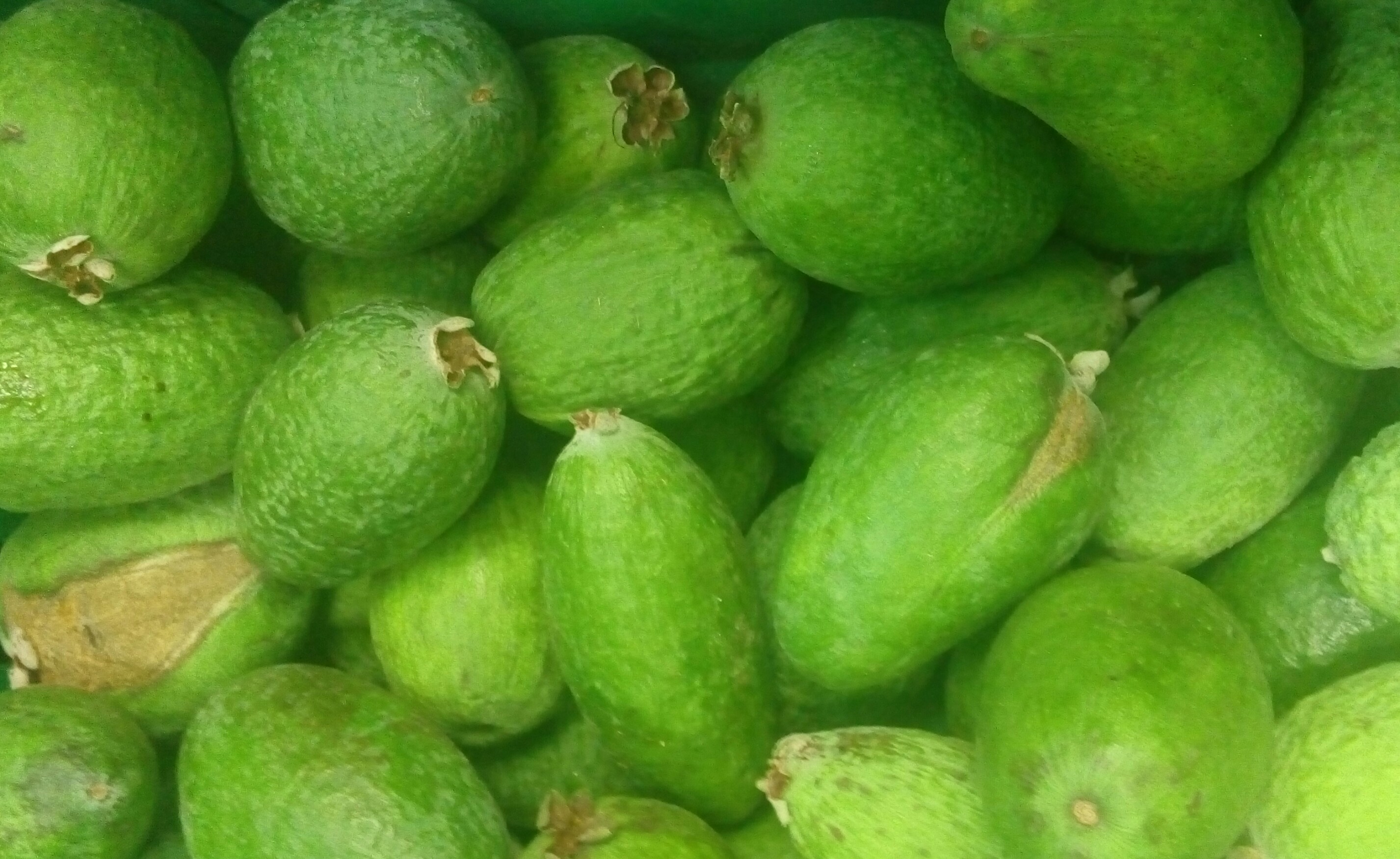 Curuba