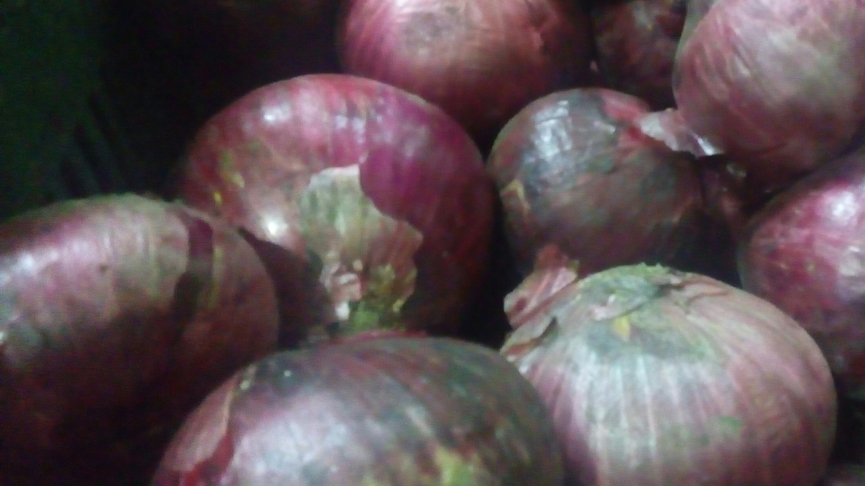 Cebolla cabezona morada