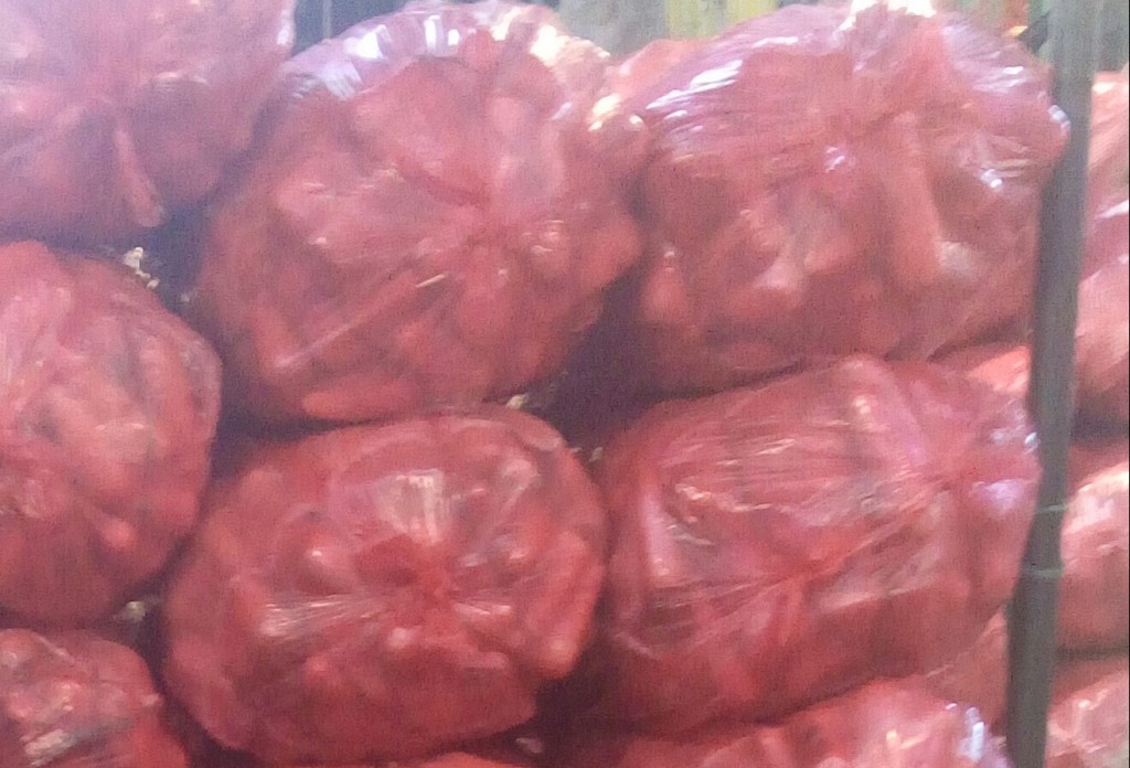 Zanahoria