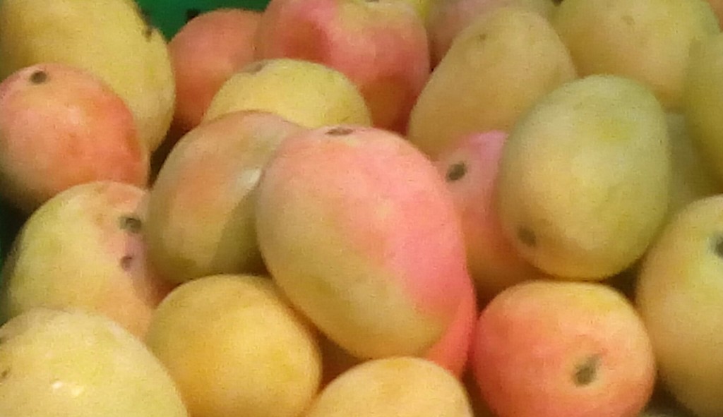Mango de azucar