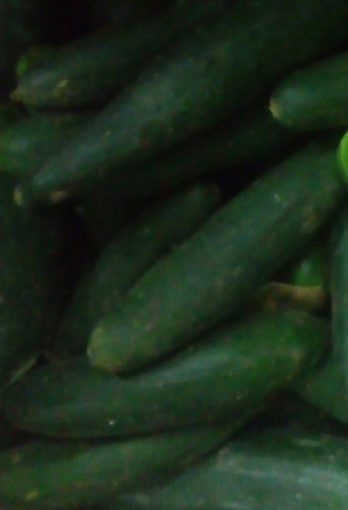 Pepino cohombro