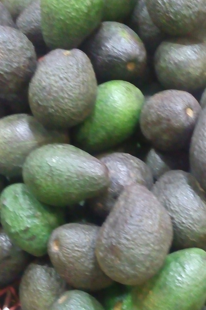 Aguacate hass