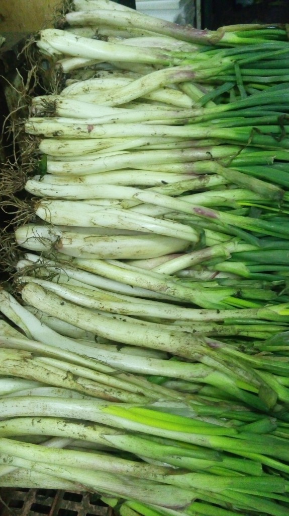 Cebolla larga