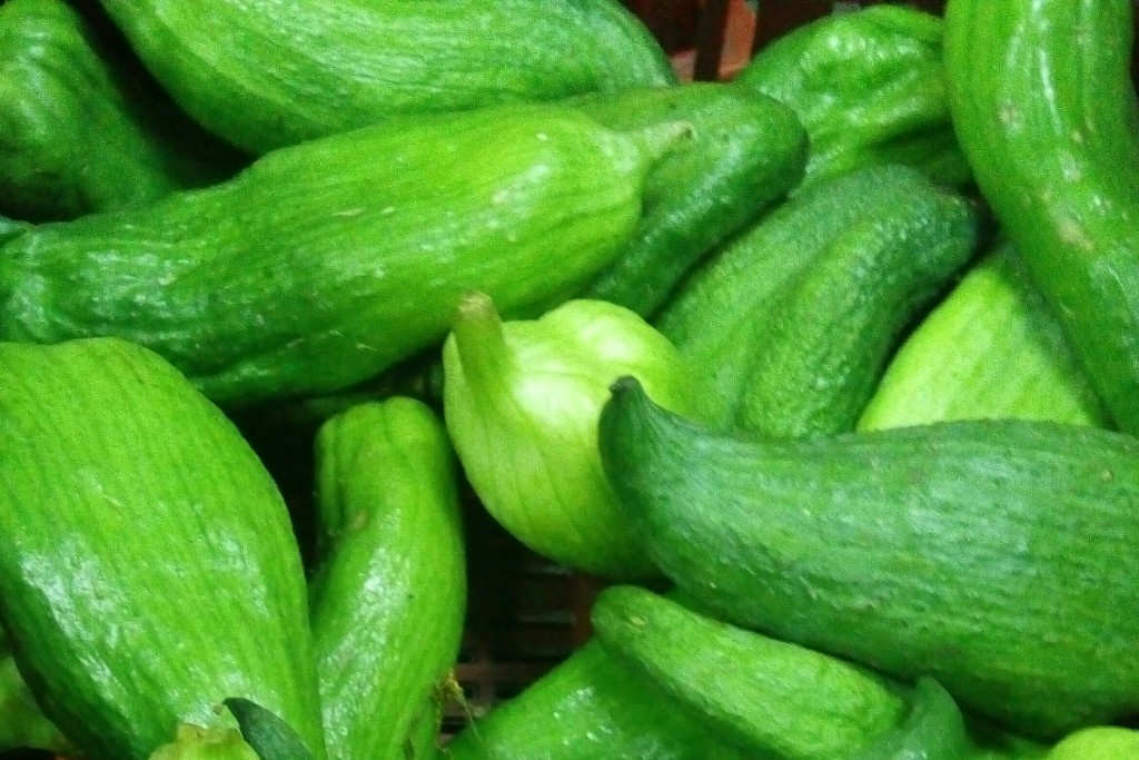 Pepino para guiso