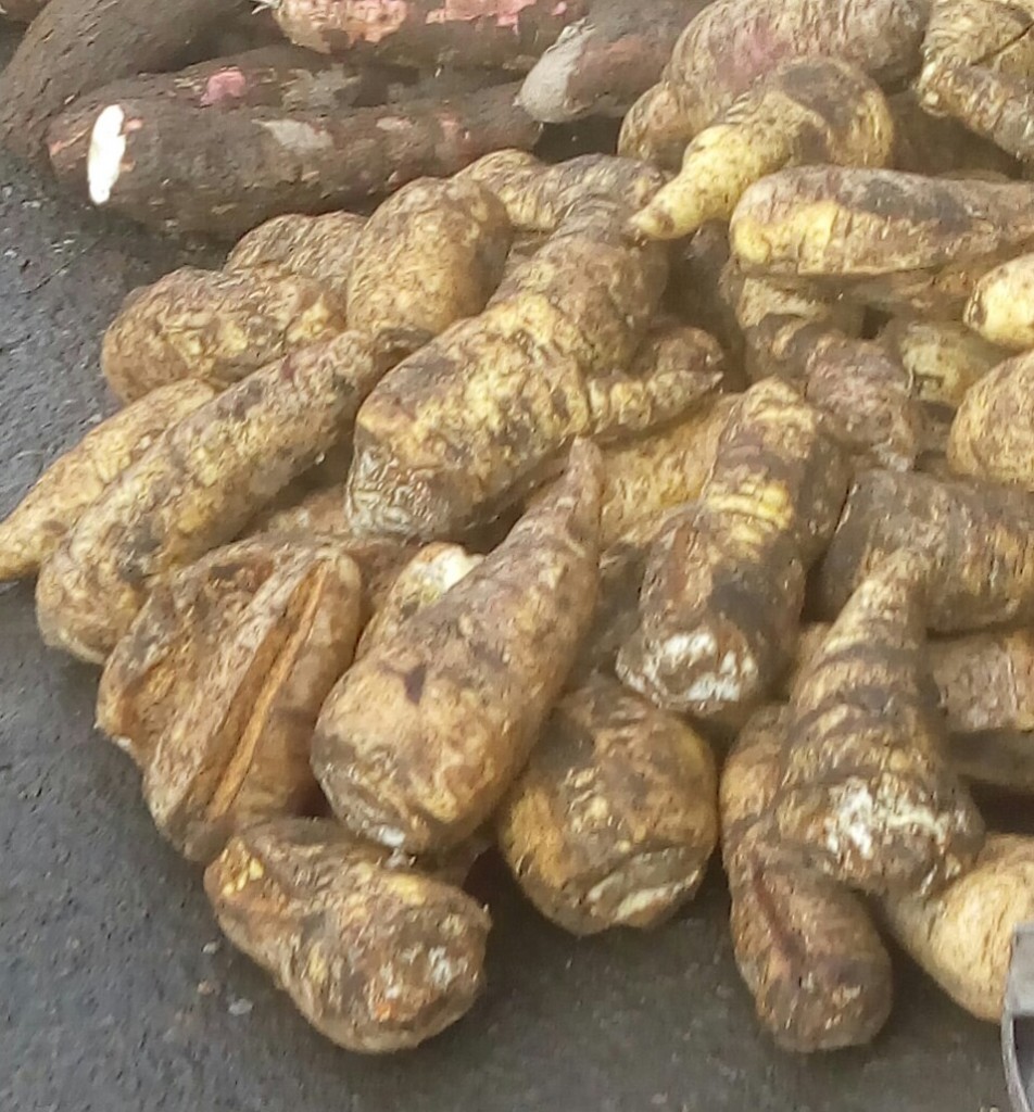 Arracacha