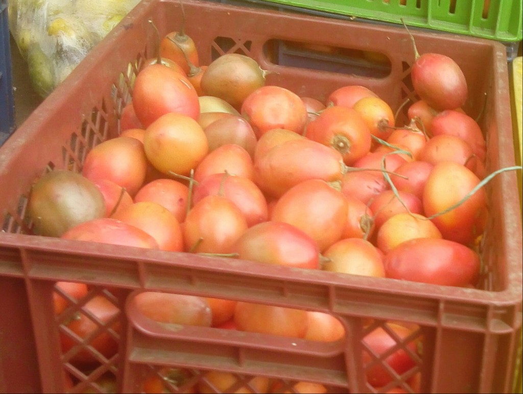 Tomate de arbol