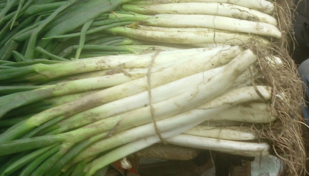 Cebolla larga