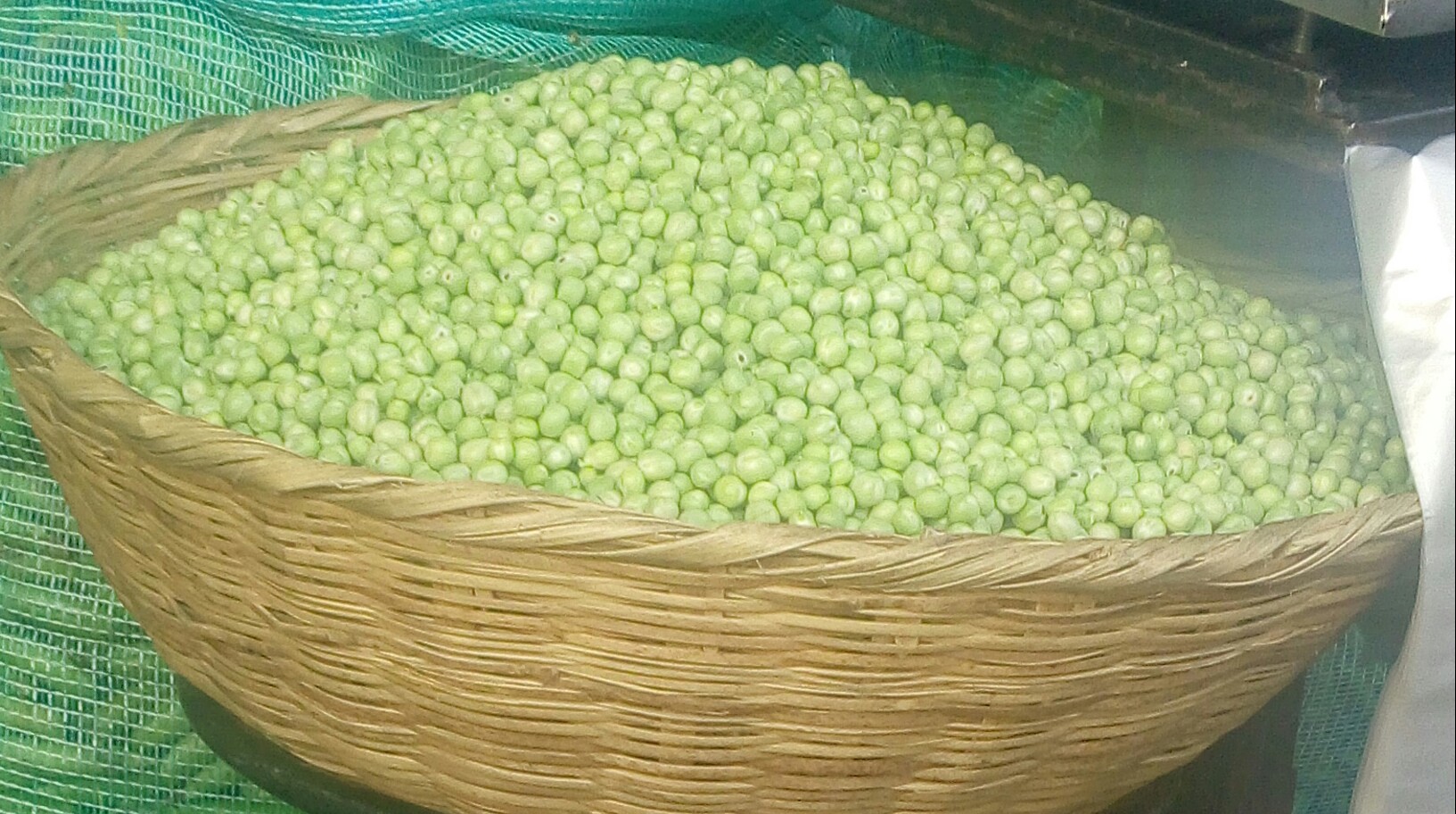 Arveja des Granada
