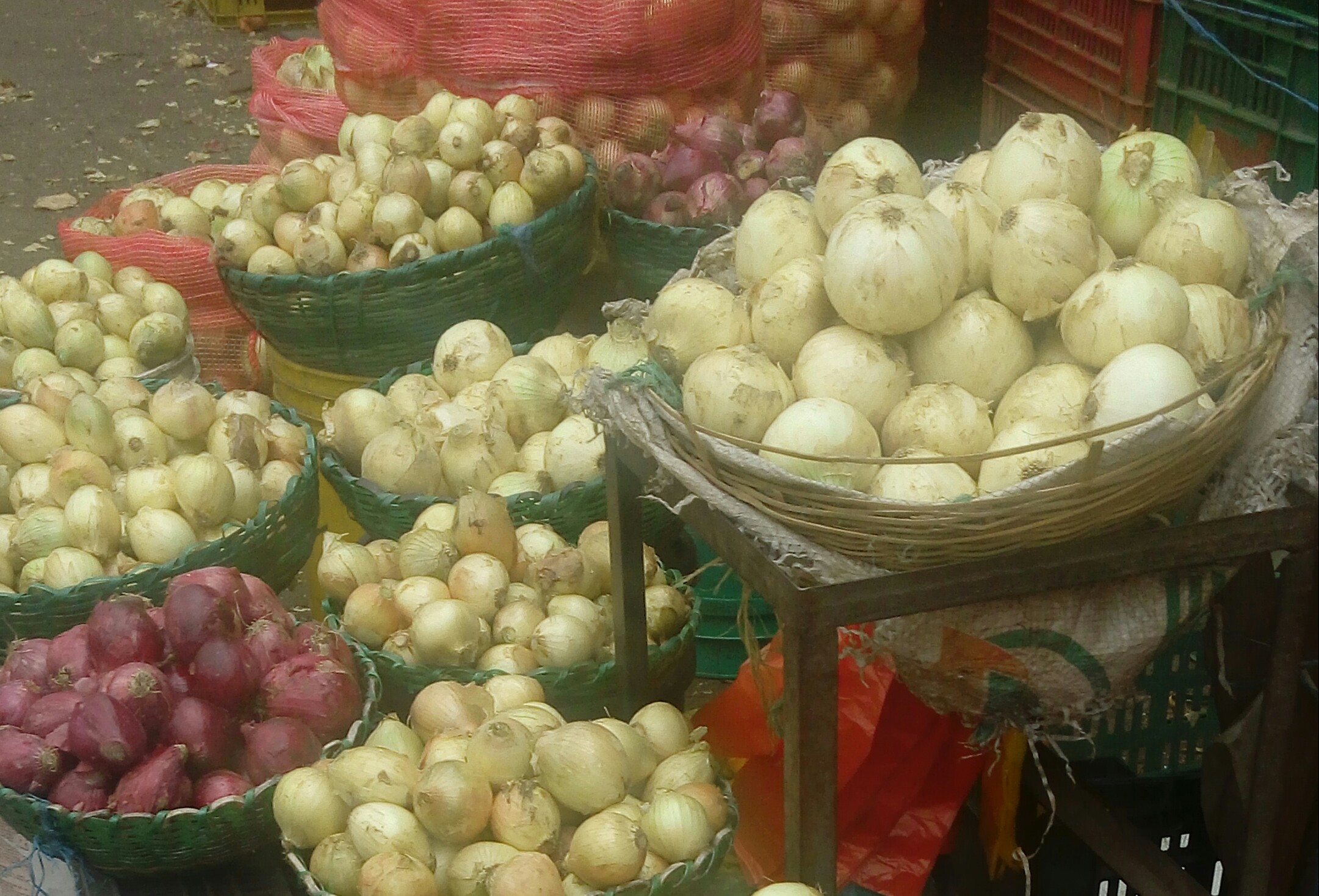 Cebolla cabezona