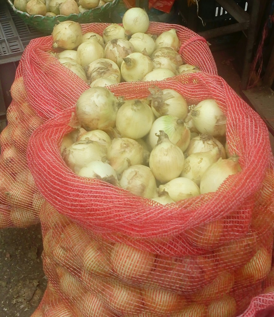Cebolla cabezona
