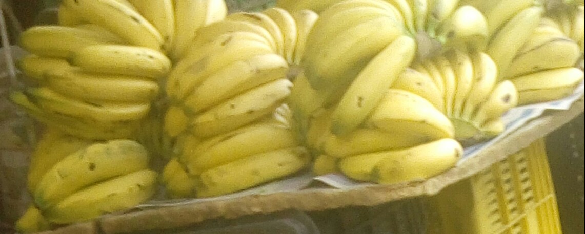 Banano criollo