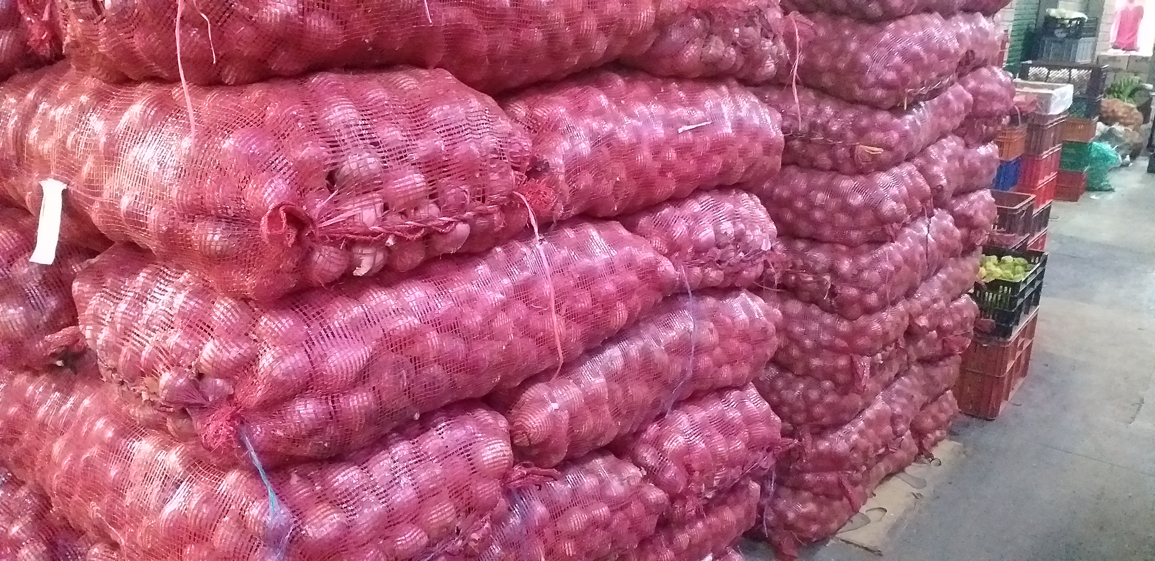 Cebolla roja peruana /50kg