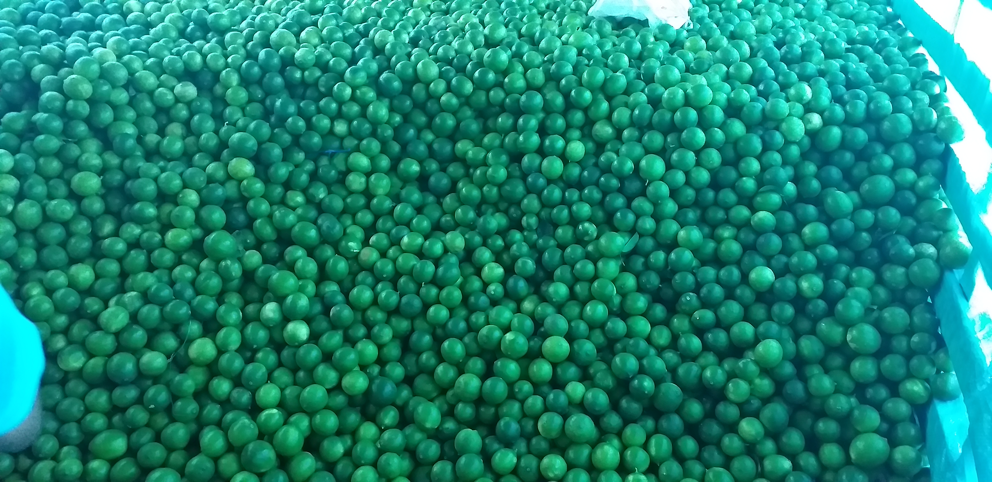 Limon tahiti