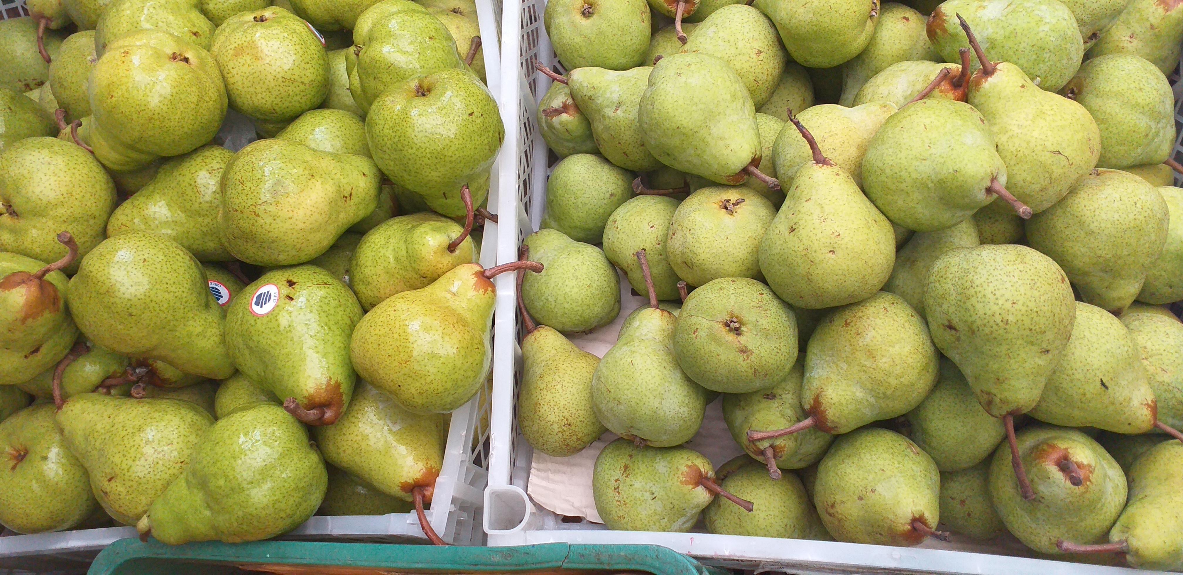 Pera gruesa