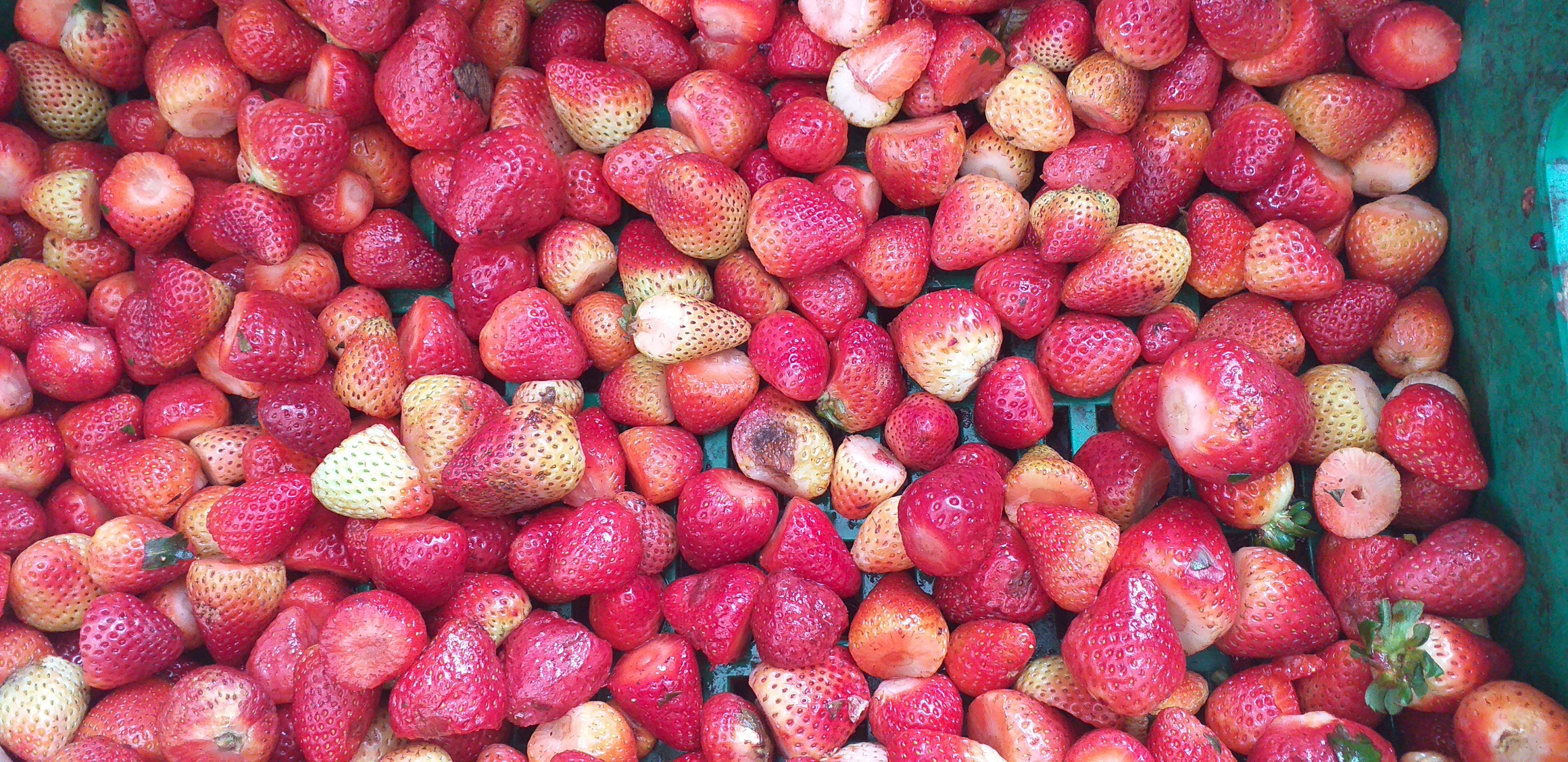 Fresa despitonada