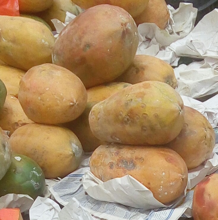 Papaya