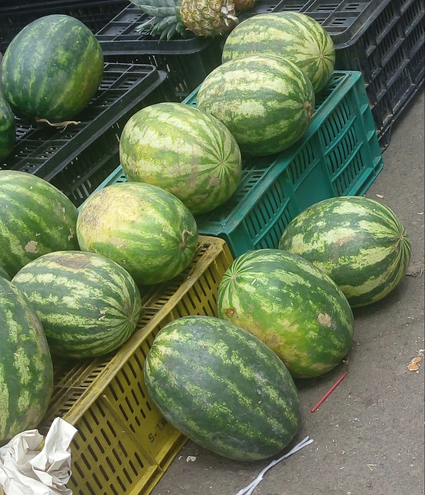 Sandia
