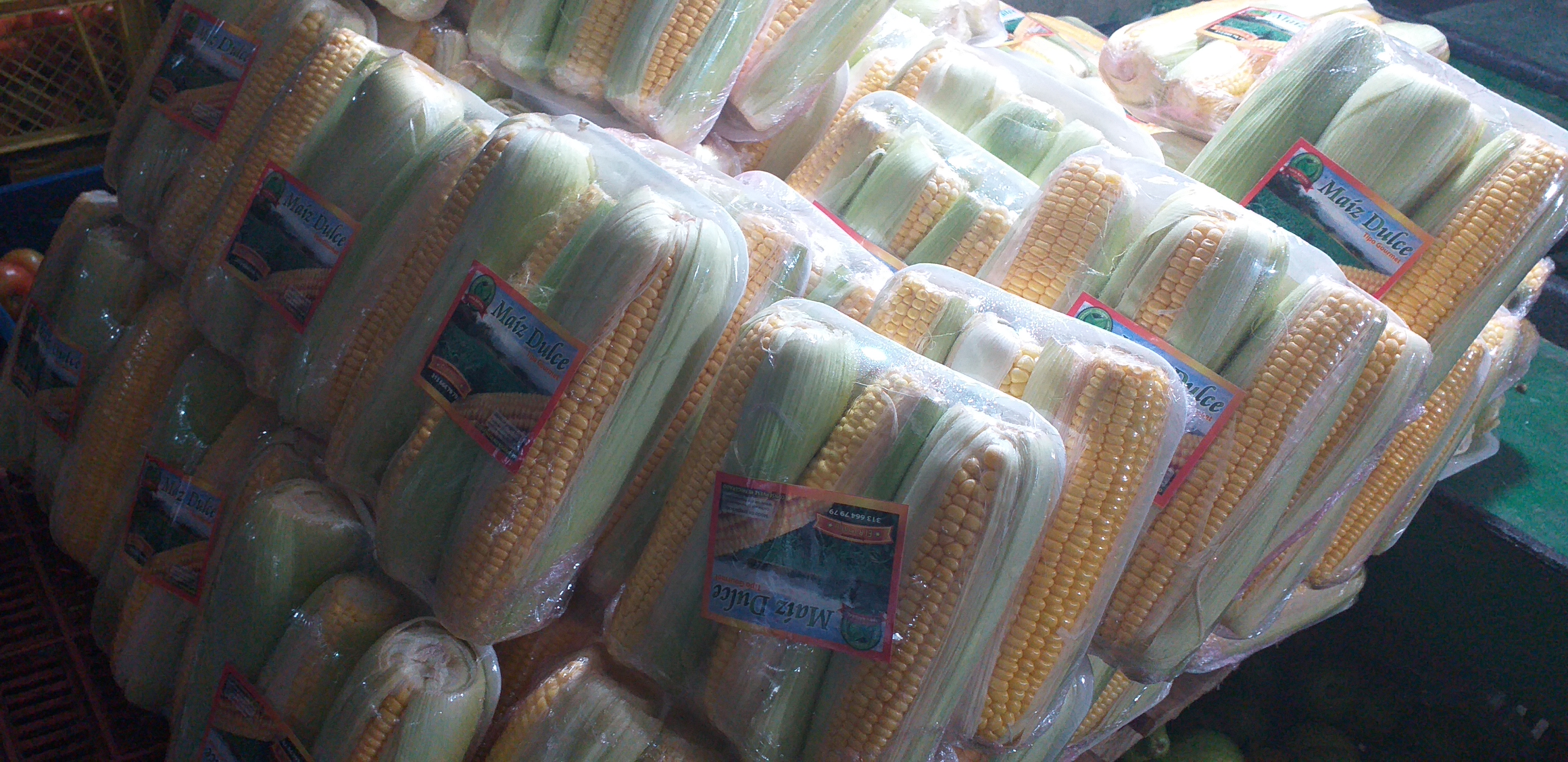 Mazorca en bandeja