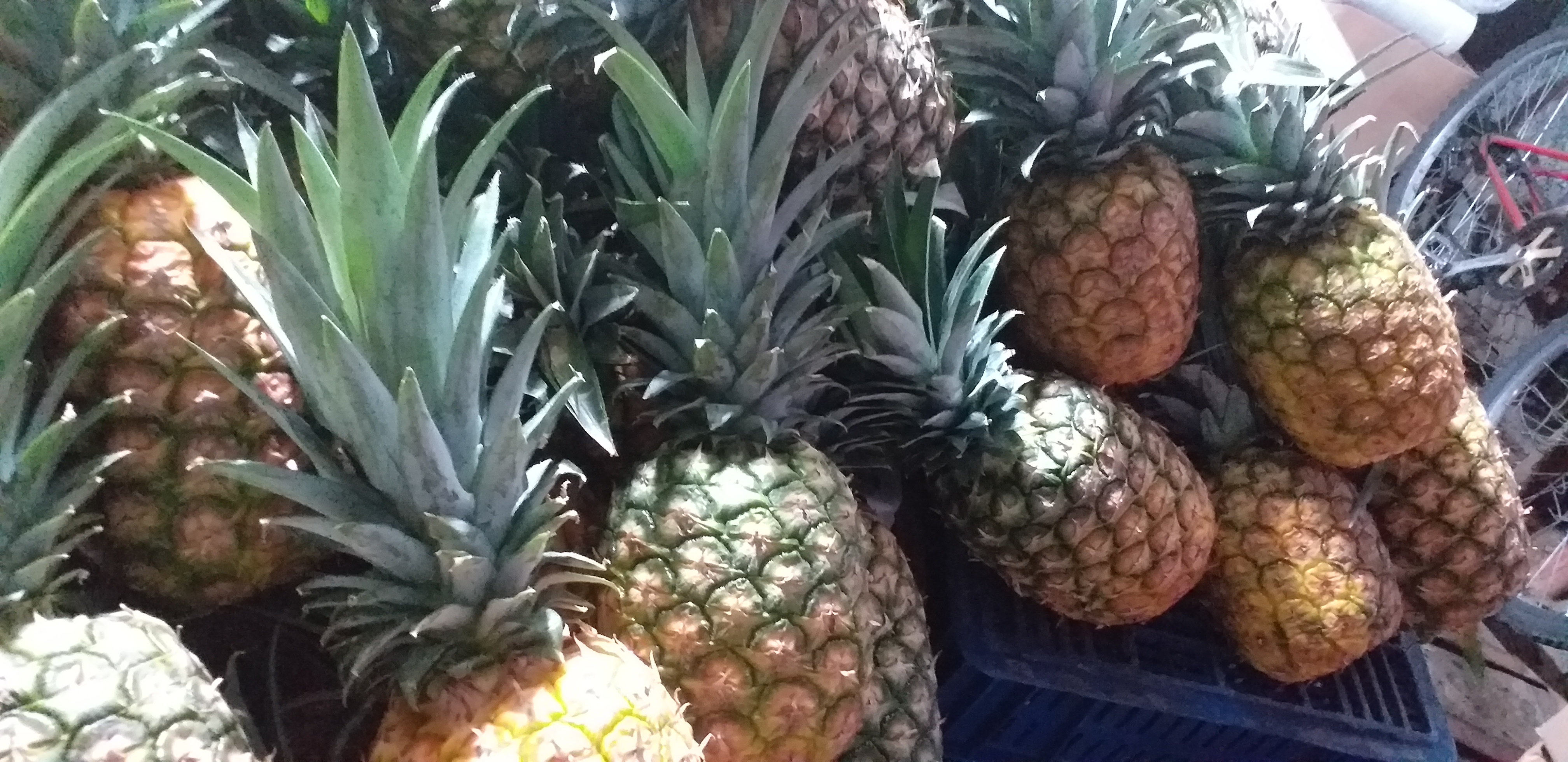 Piña oromiel