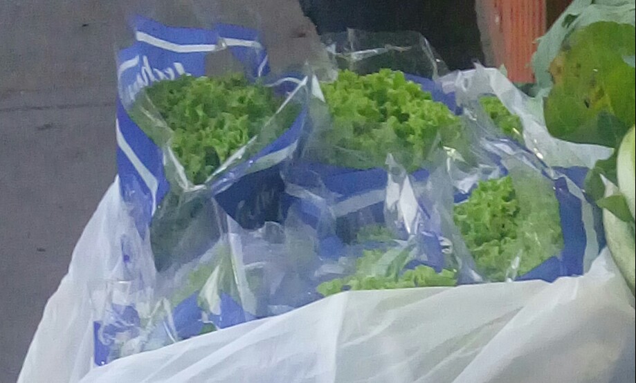 Lechugas