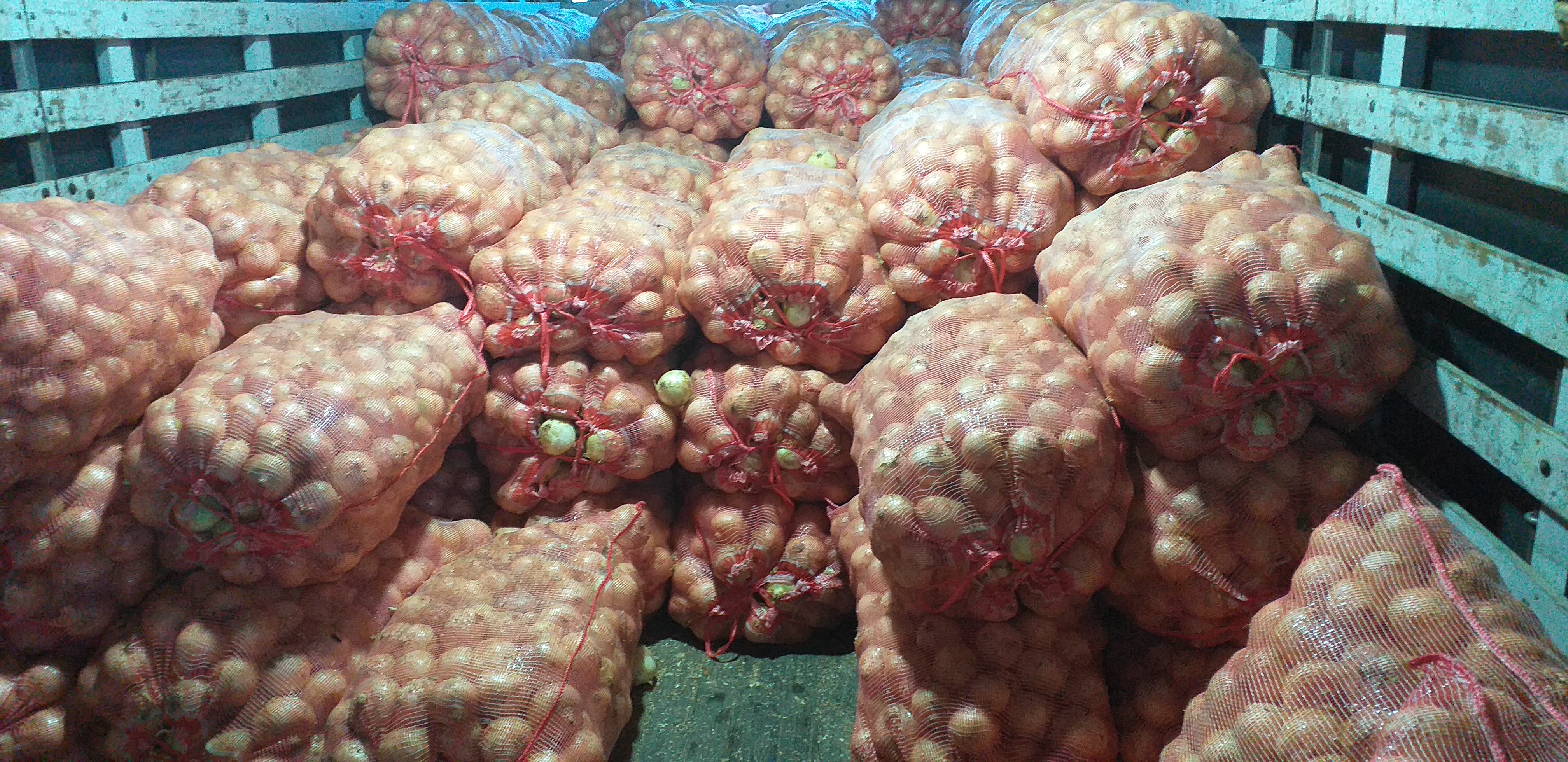 Cebolla blanca gruesa/50kg