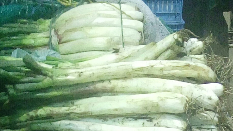 Cebolla larga