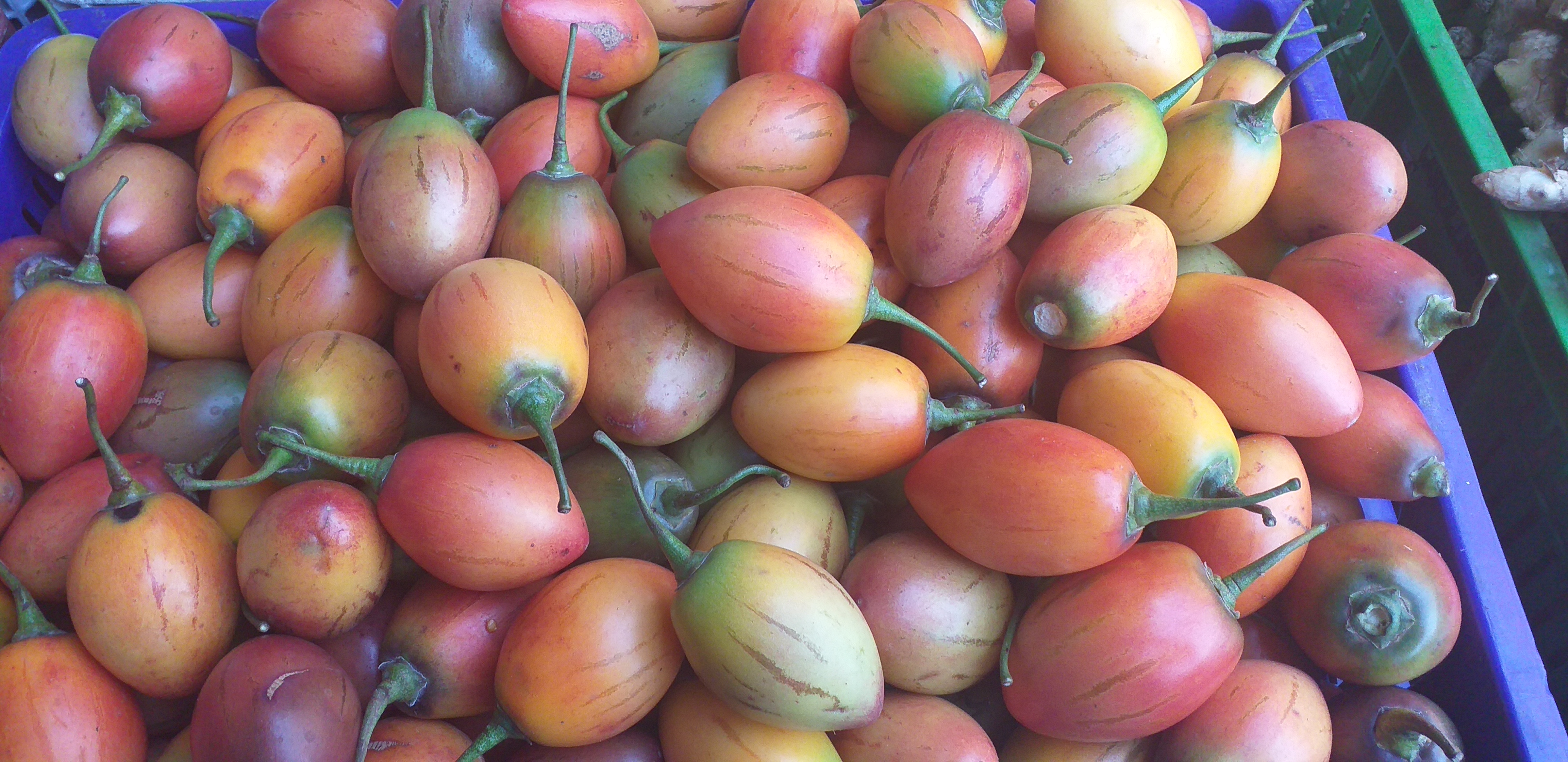 Tomate de arbol