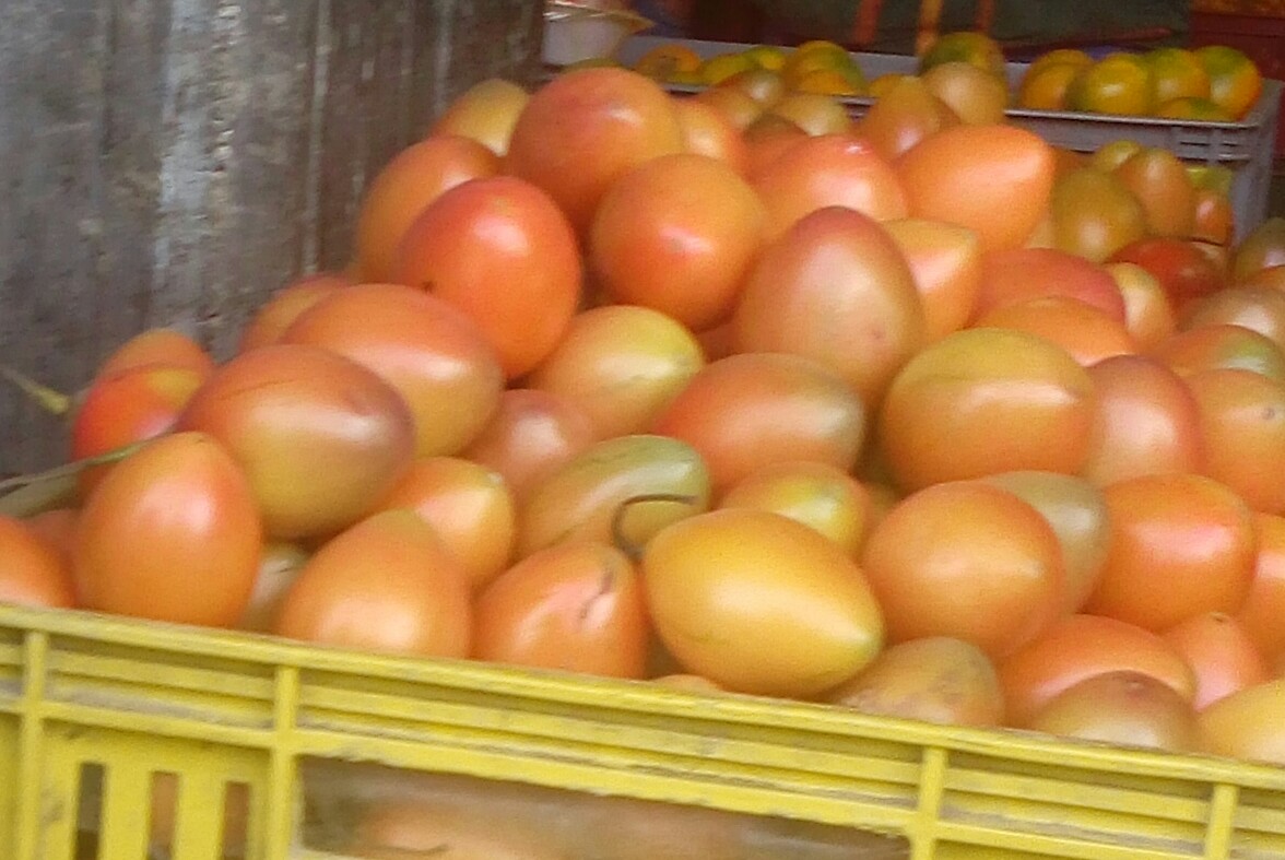 Tomate de arbol
