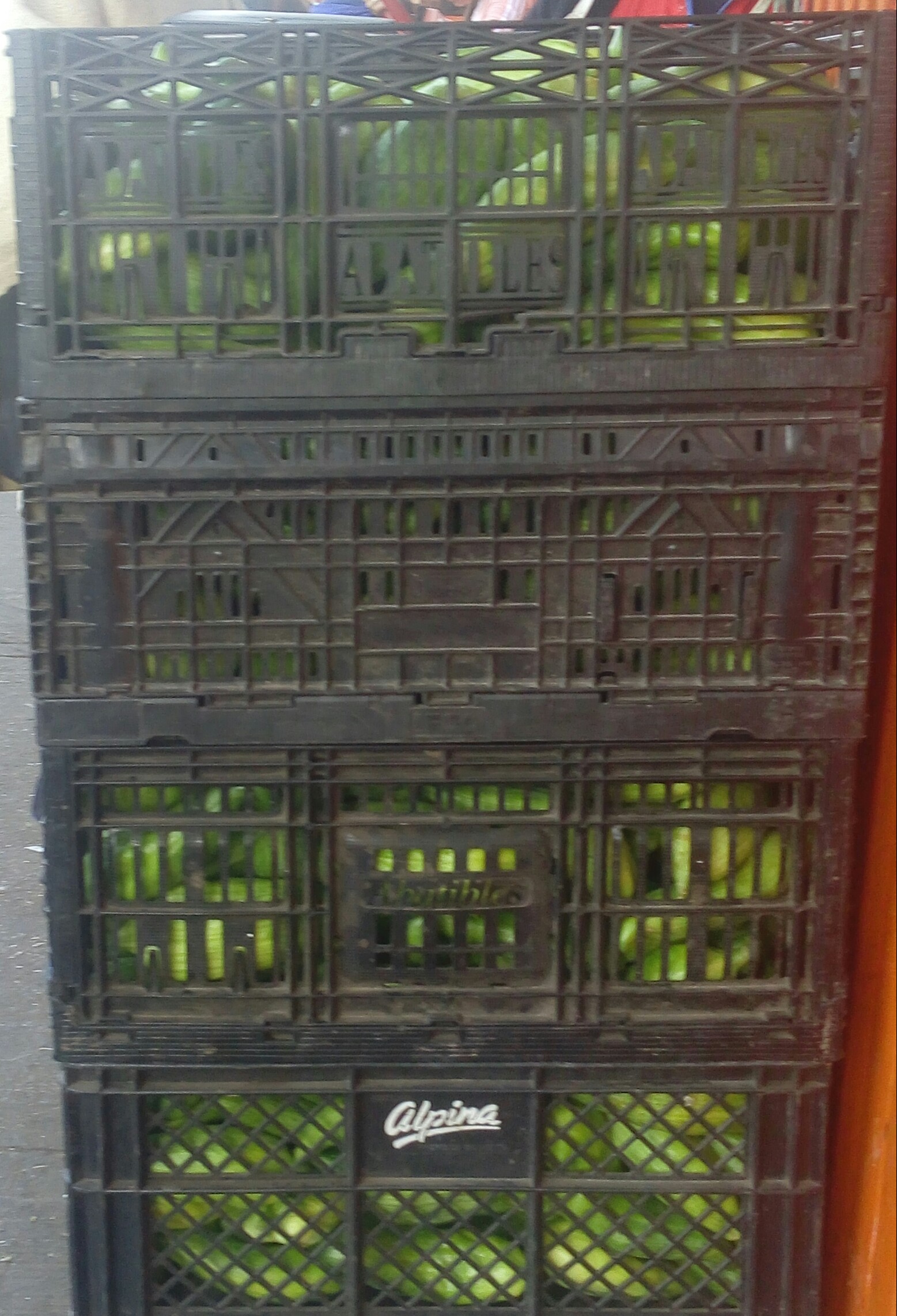 Pepino para guiso